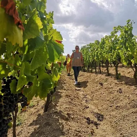 La Tappa Del Vignaiolo Bed & Breakfast *