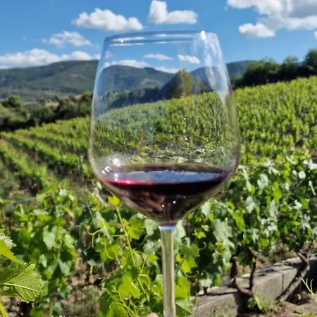 Bed & Breakfast La Tappa Del Vignaiolo *