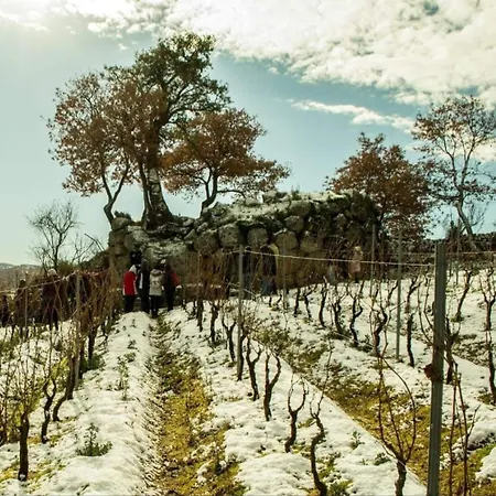 La Tappa Del Vignaiolo *